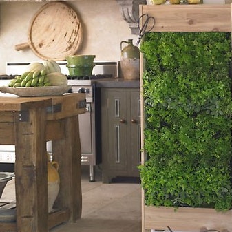 וינטאצ שימור פנים.