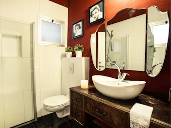 וינטאצ שימור פנים.