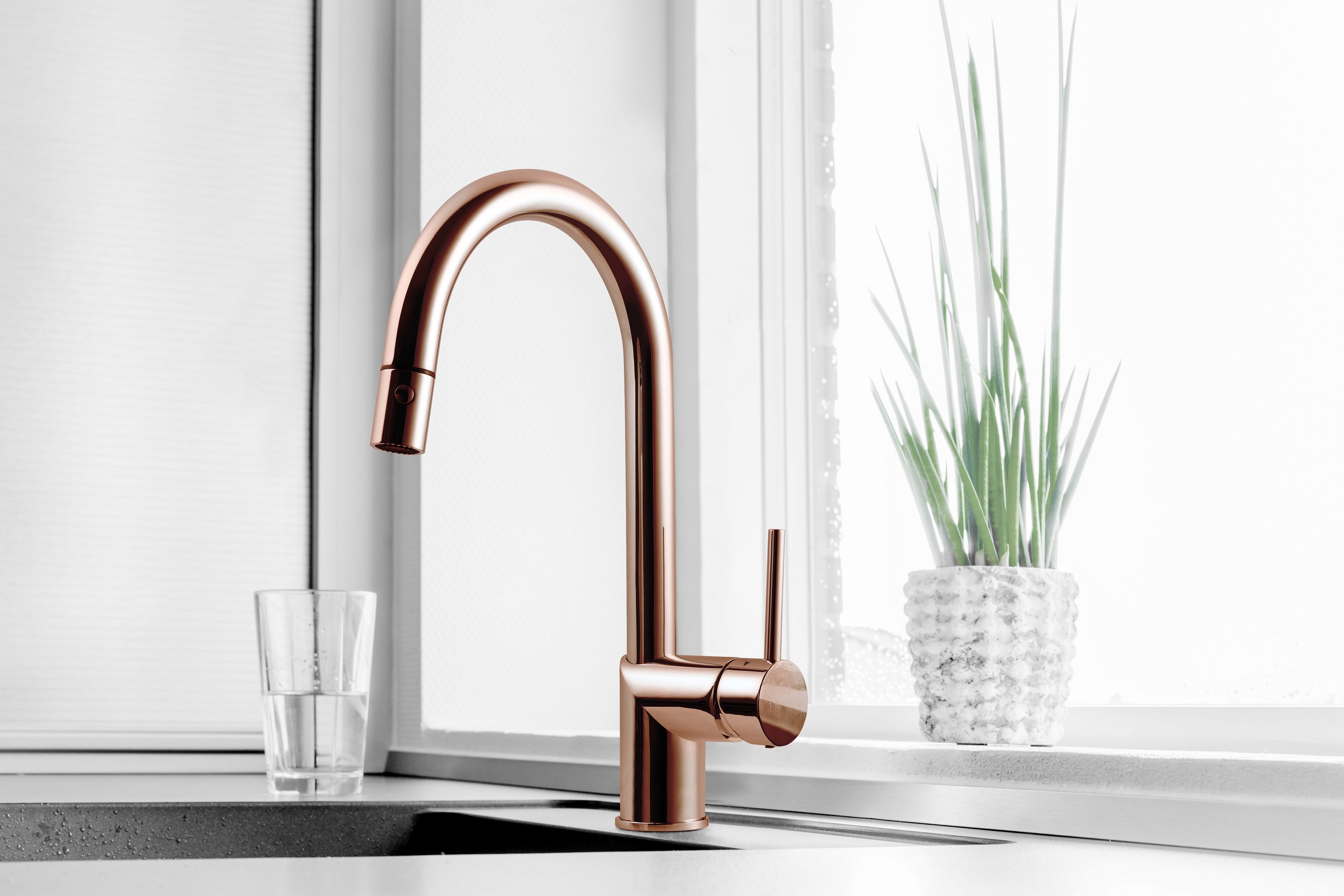 ××¨× ××× ××¨×§×¢ ××××× × ×××. 