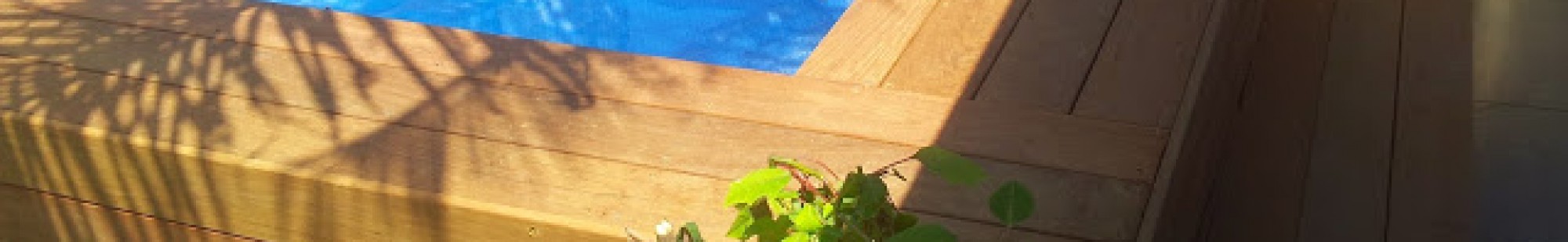 צילום מעבודה של שמעון