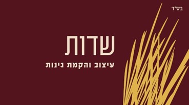 זאב דיאמנט