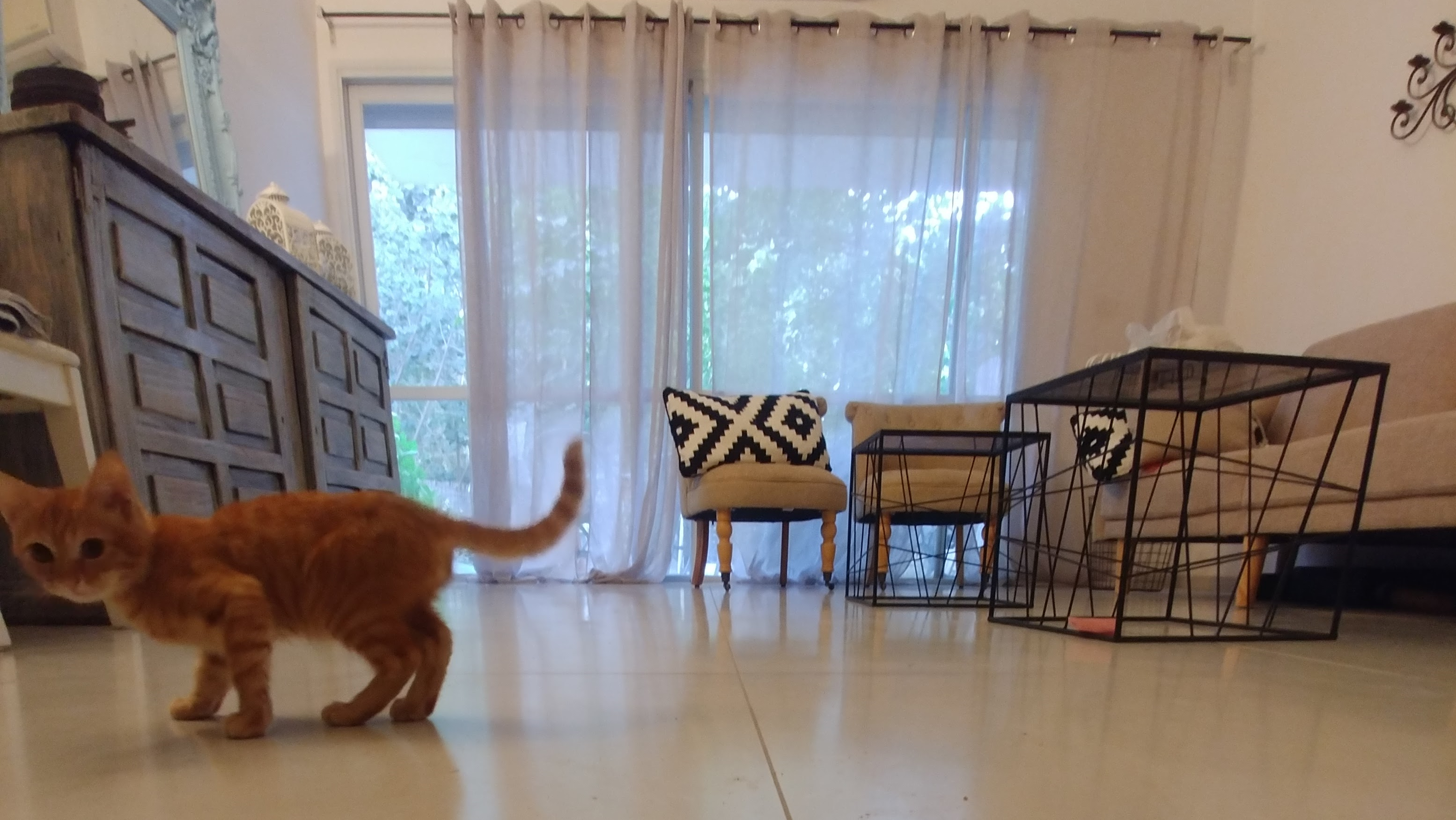 מגוון פרוייקטים