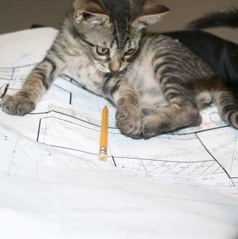 מגוון פרוייקטים