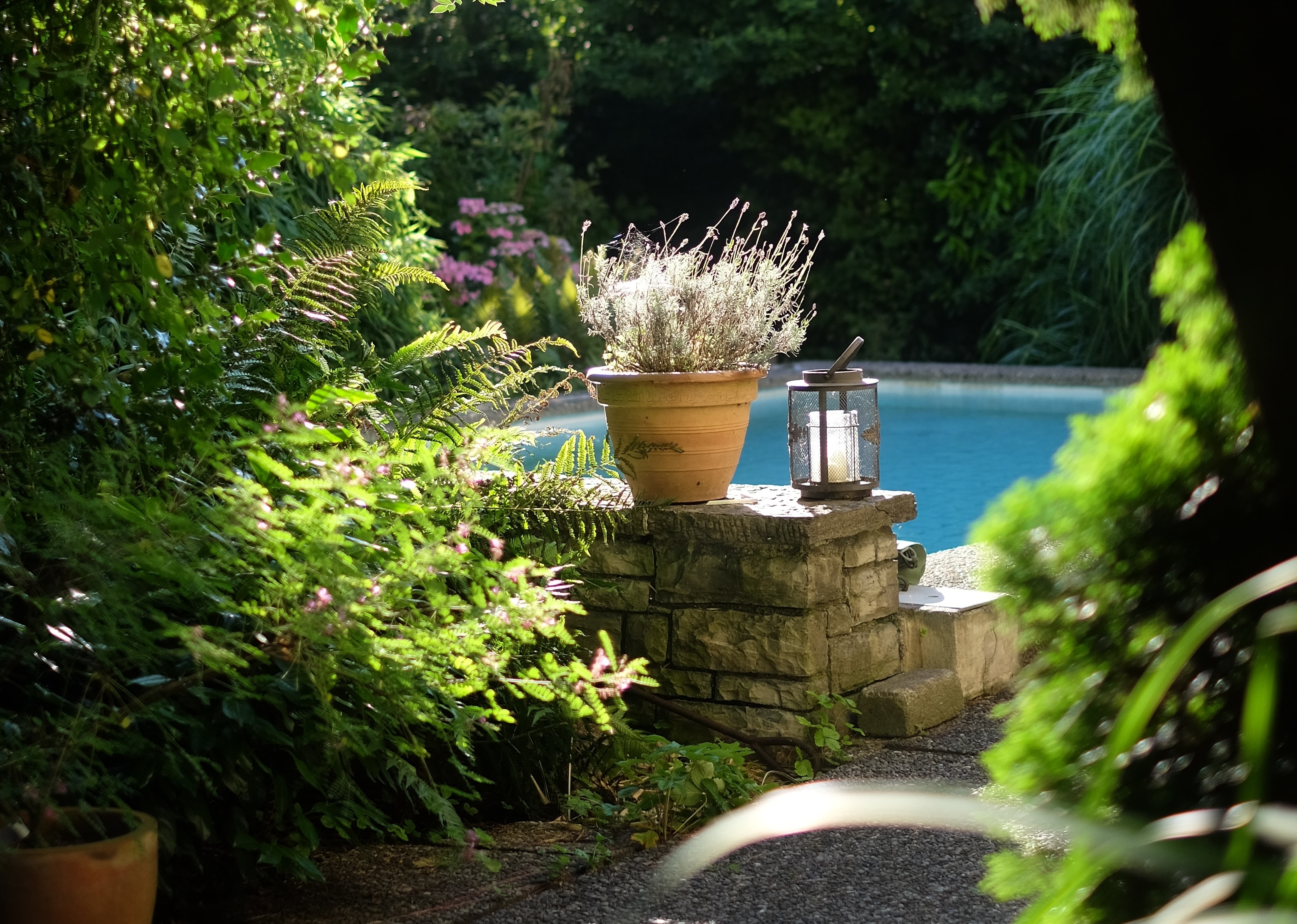 מגוון פרוייקטים