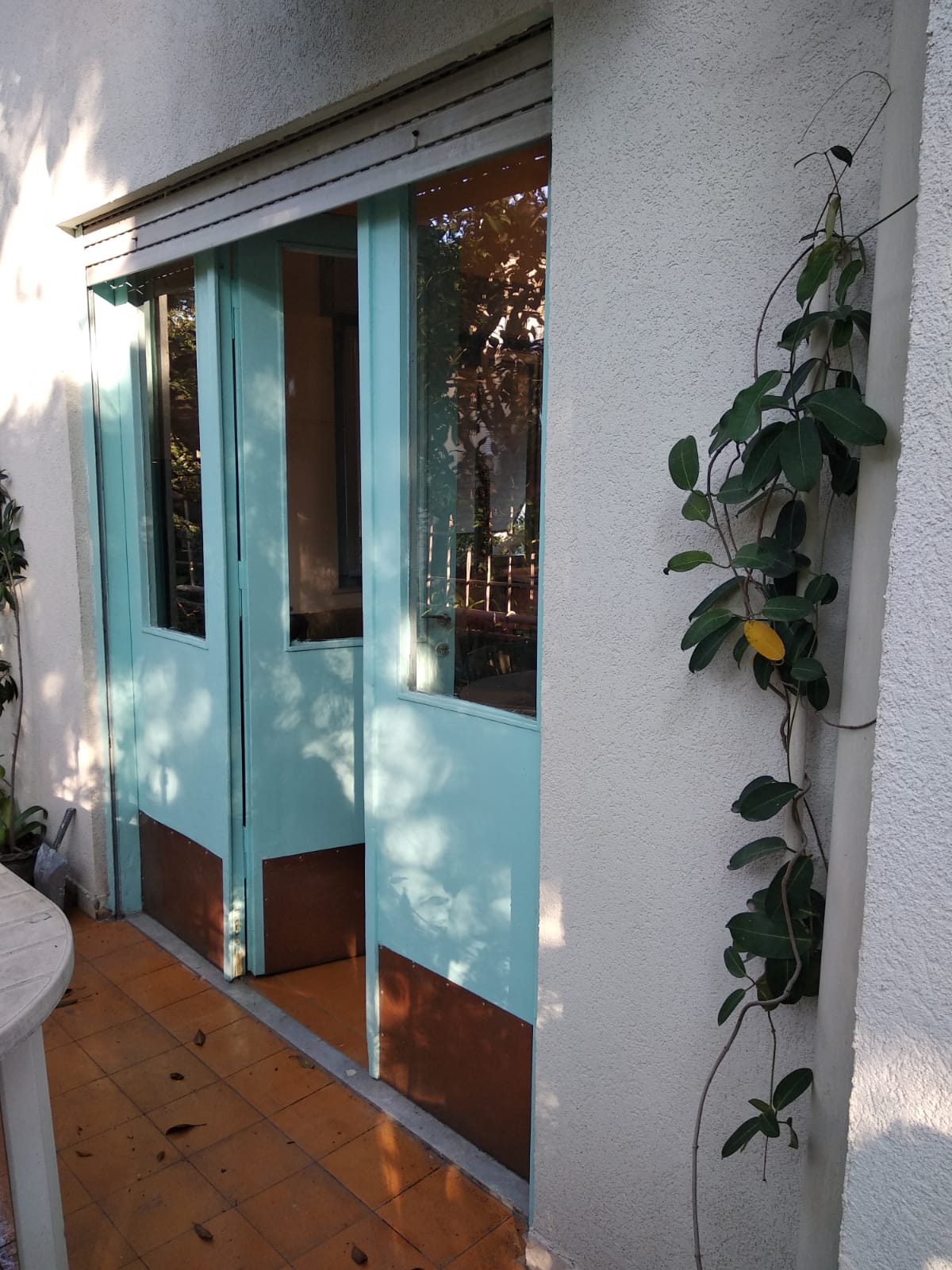 דלתות וחלונות.