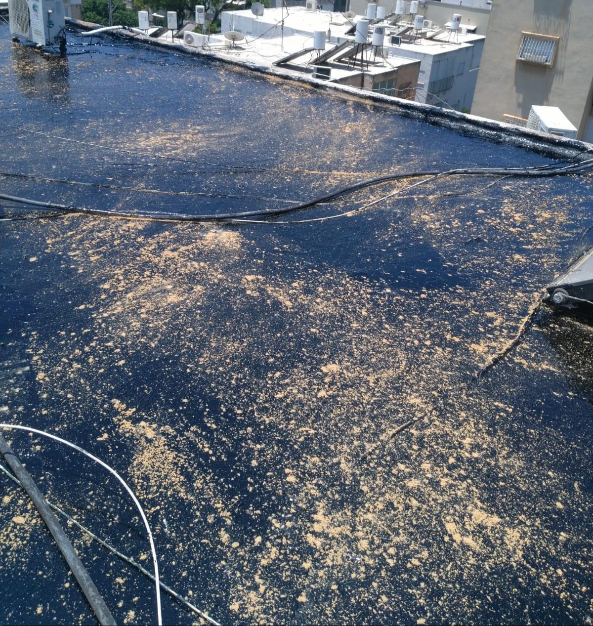 צילום מעבודה של צחי נתנזון