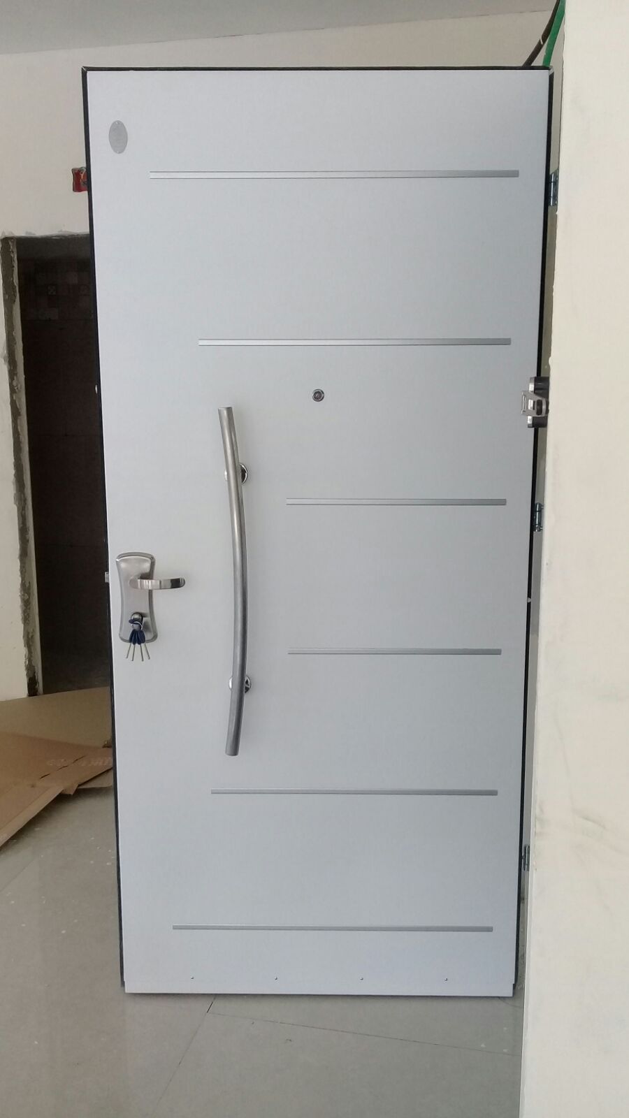 דלתות כניסה לבית