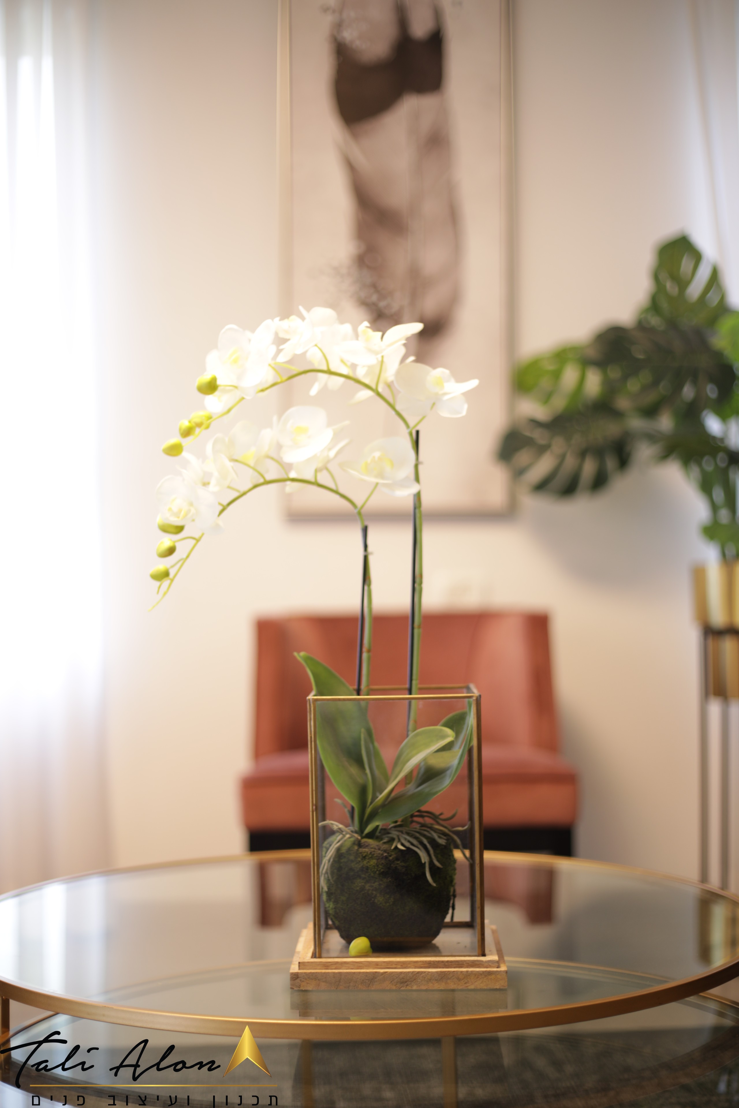 סטיילינג למשפחה דתית מקסימה