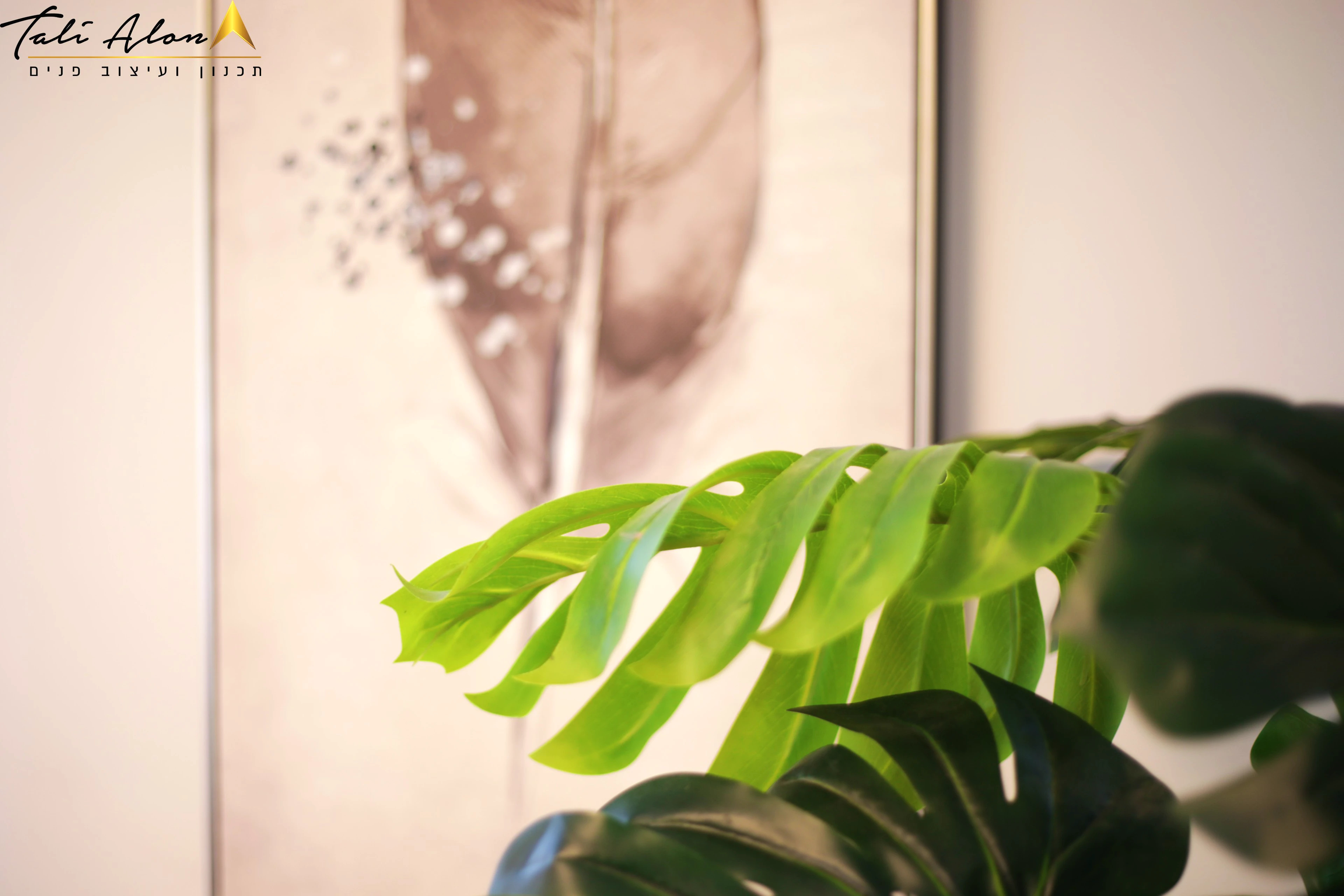 סטיילינג למשפחה דתית מקסימה