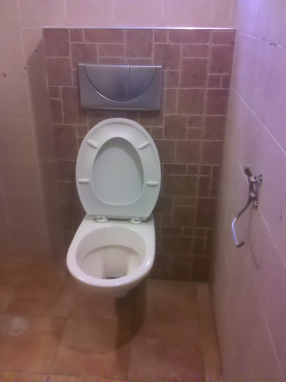 ניאגרות סמויות - אסלות תלויות.