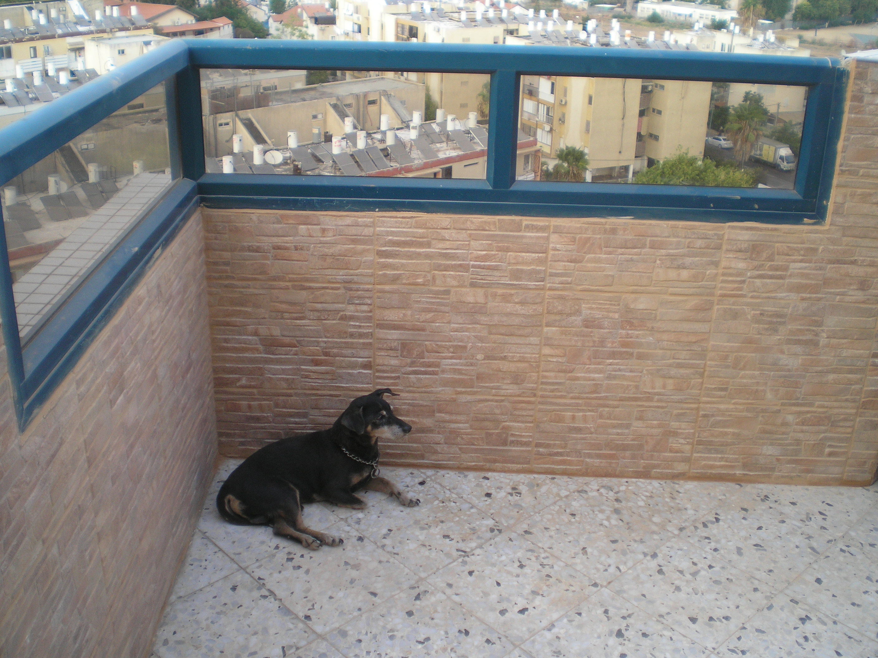 חיפוי קירות מרפסת - פנטהאוס ביבנה.