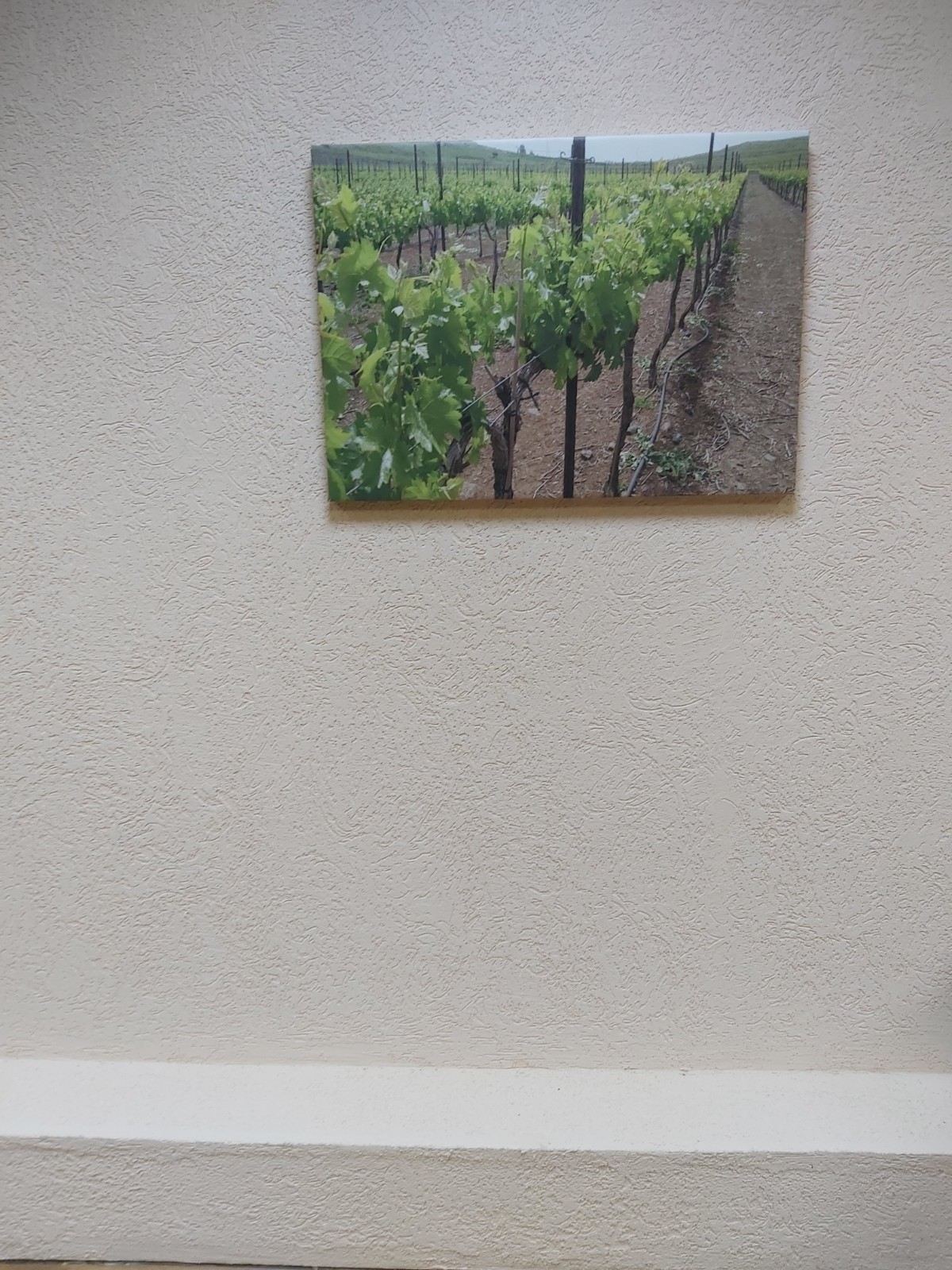 עבודת דקור של שליכט צבעוני בוטיק יין