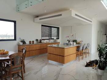 משפחת דניאלי