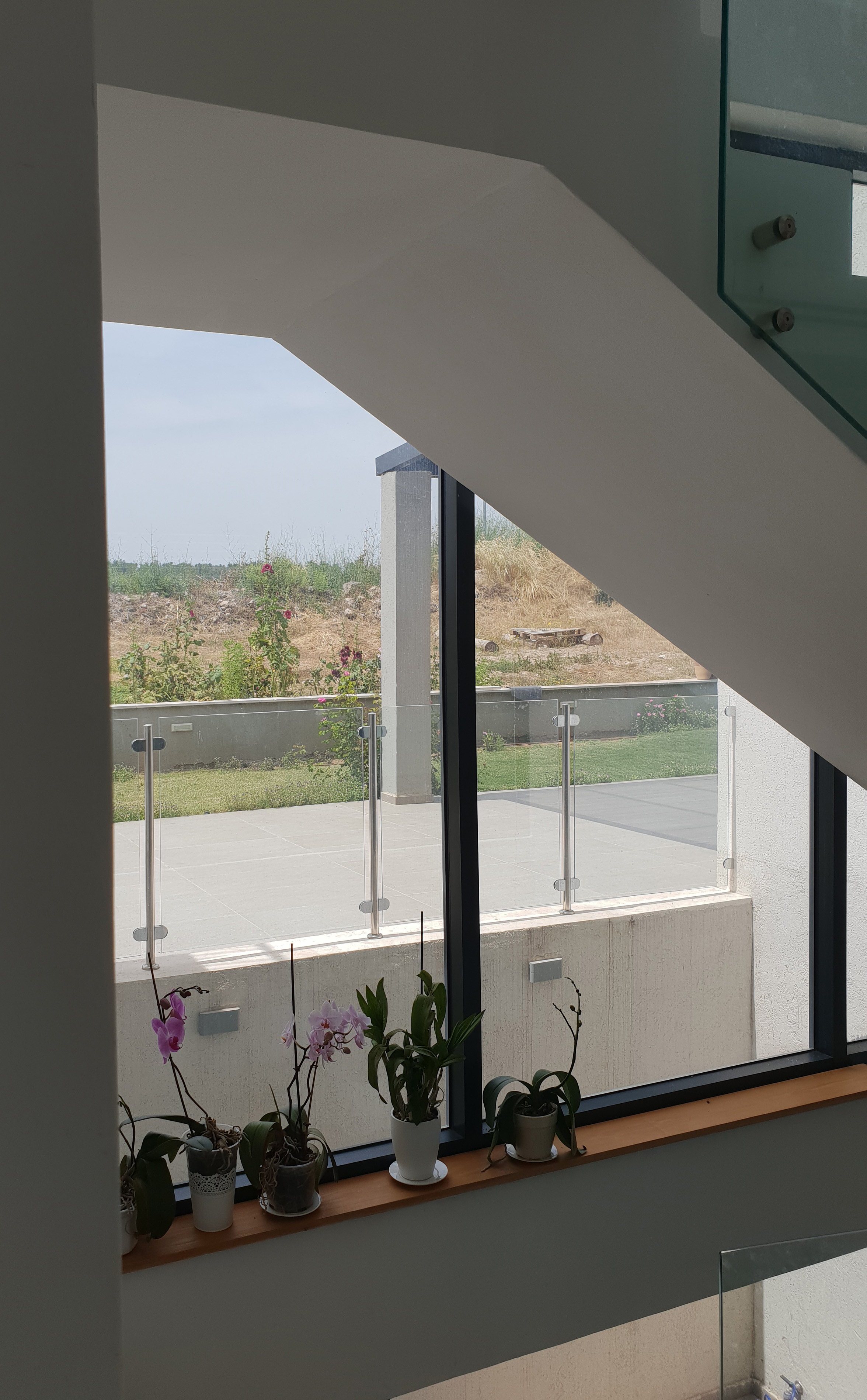 משפחת דניאלי