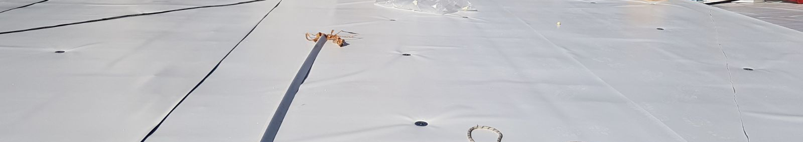 צילום מעבודה של פטין חלבי