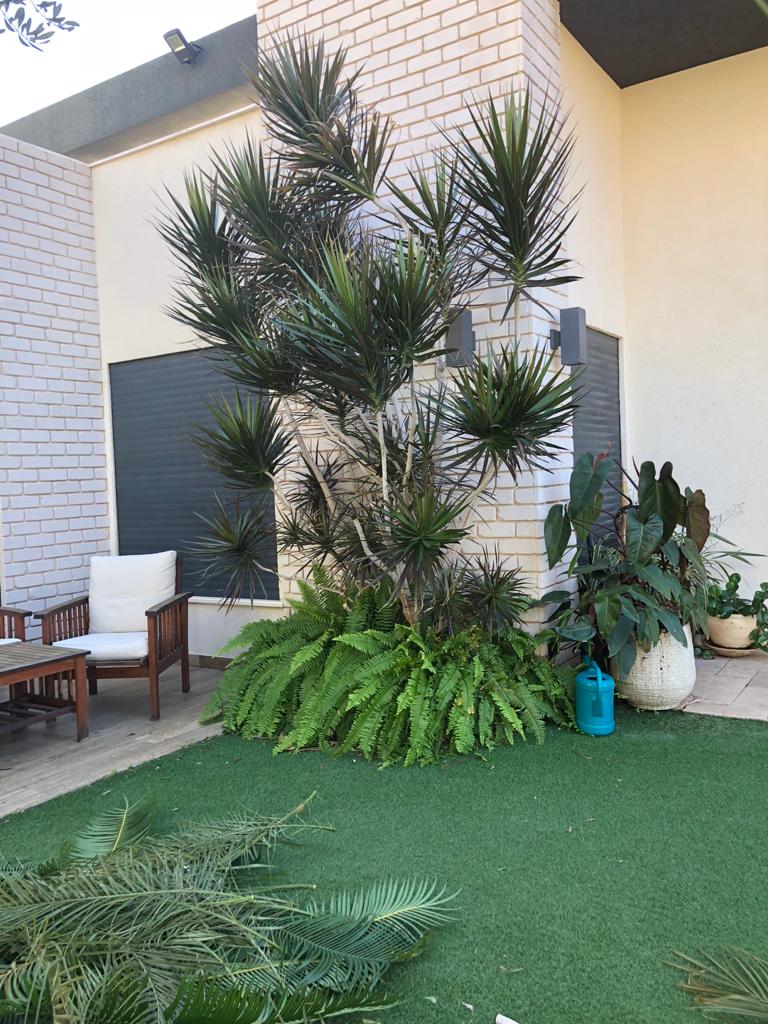 עבודות גמר לוילה