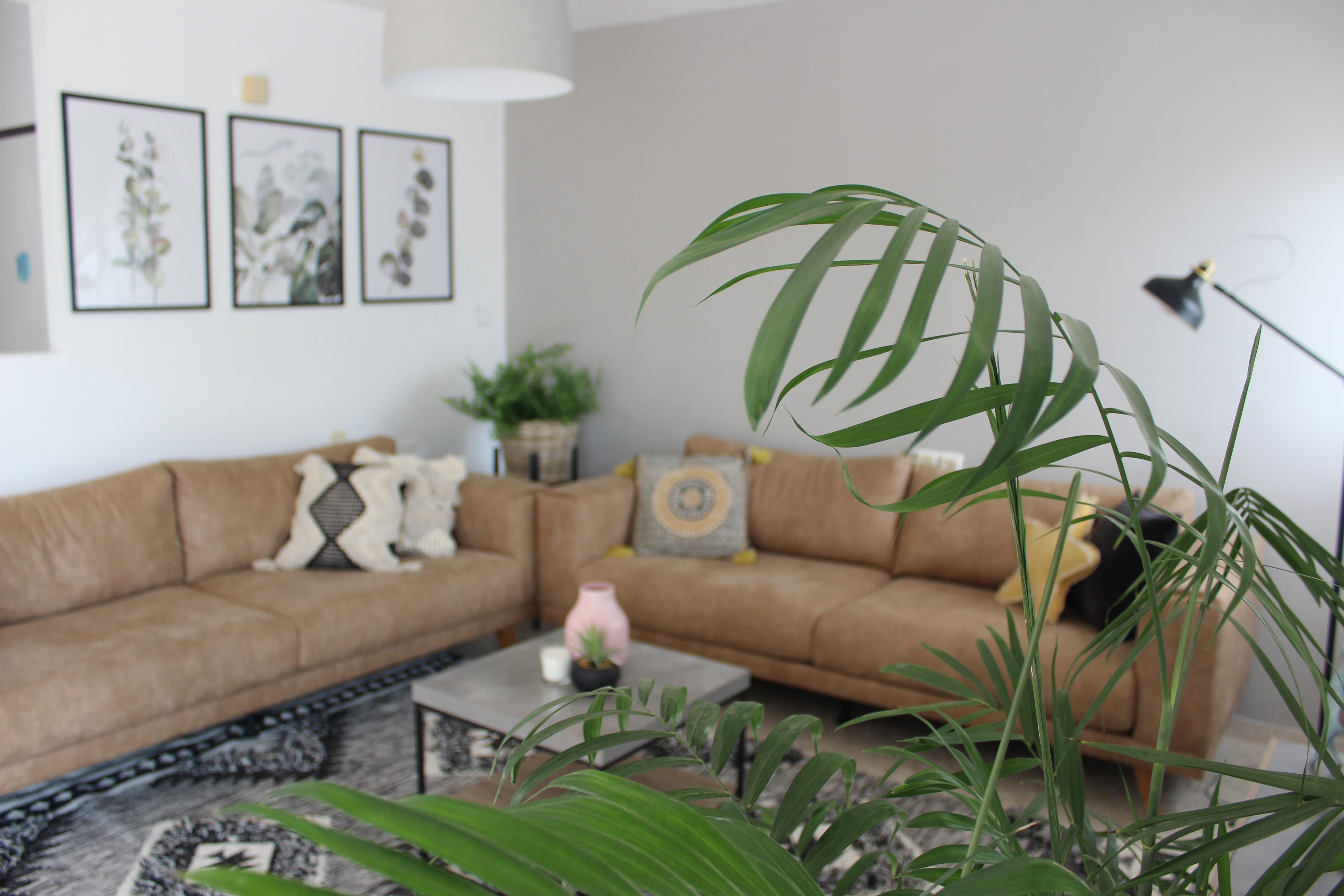 סטיילינג לדירה ברעננה