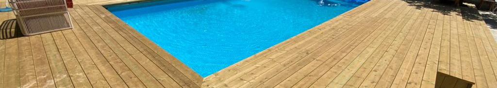 צילום מעבודה של לגעת בעץ