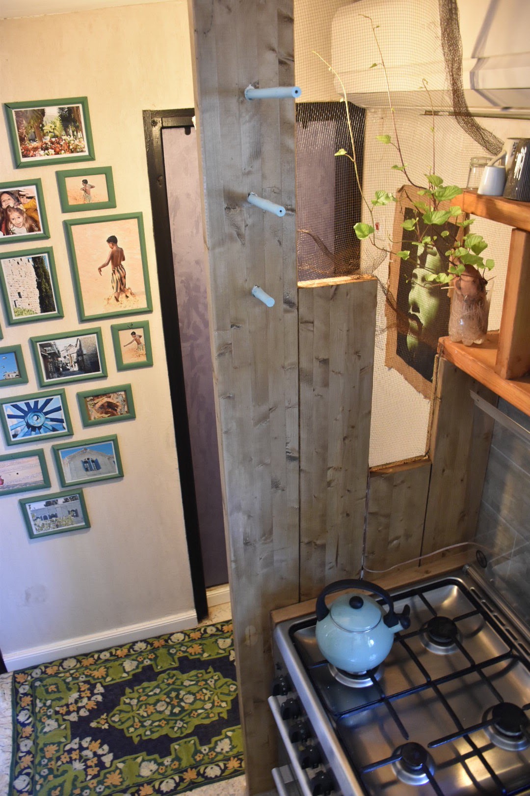 הבית הראשון שלי