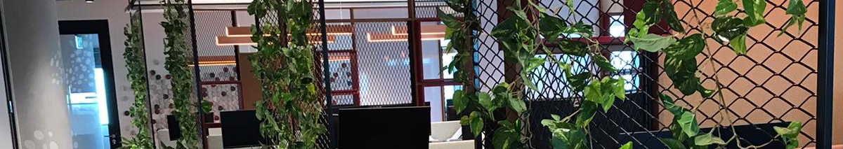 צילום מעבודה של הסדנא