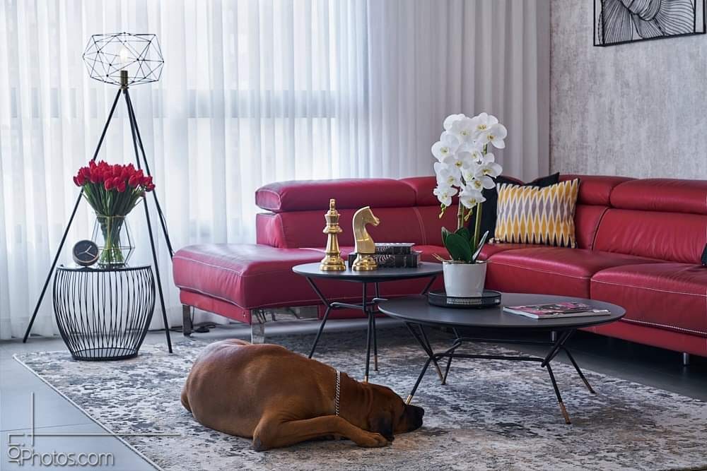 שיפוץ כללי לדירה