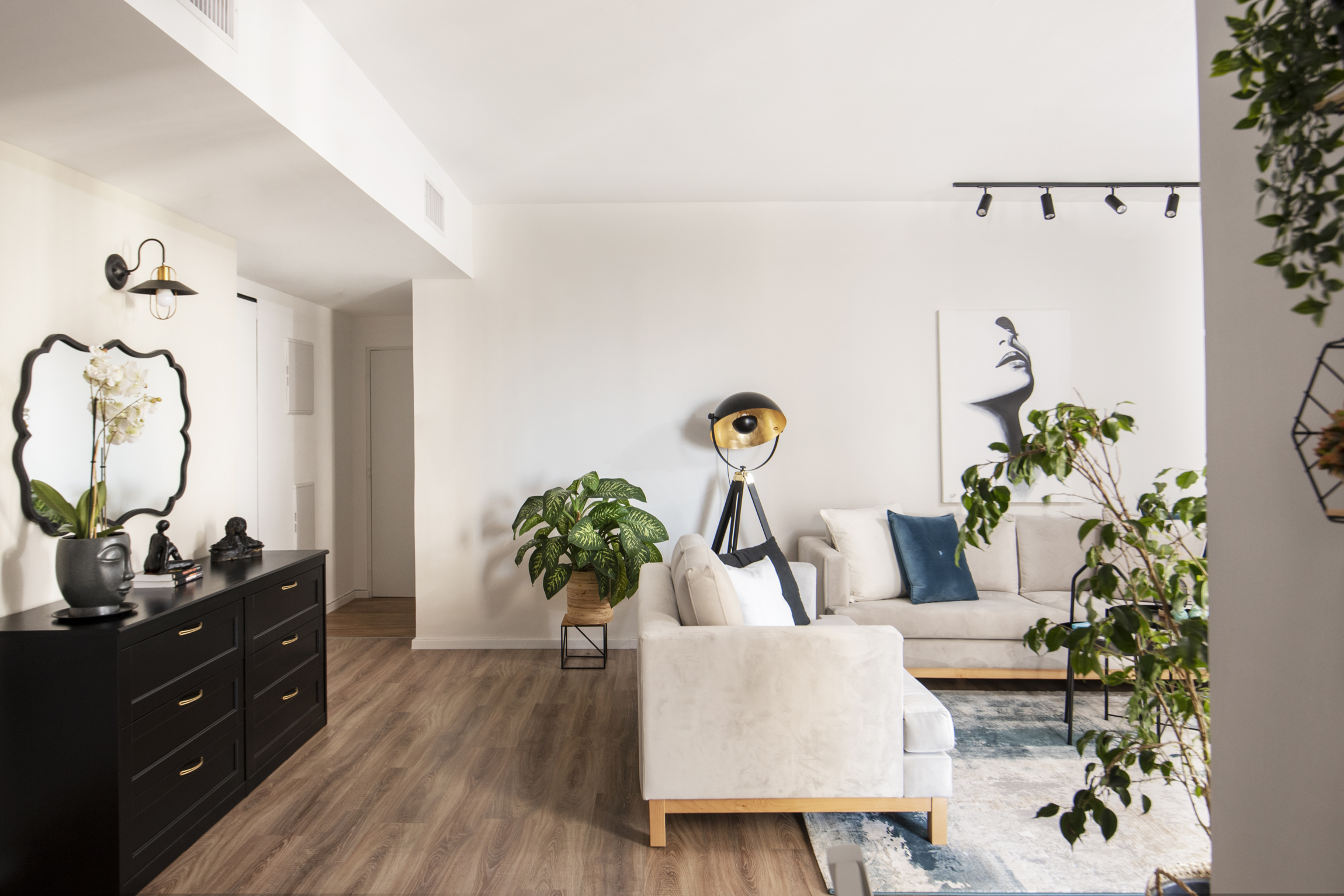 הום סטיילינג לדירה שכורה