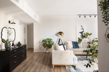 הום סטיילינג לדירה שכורה