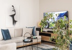 צילום סלון עם טלויזיה תלויה ושטיח