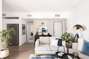 הום סטיילינג לדירה שכורה