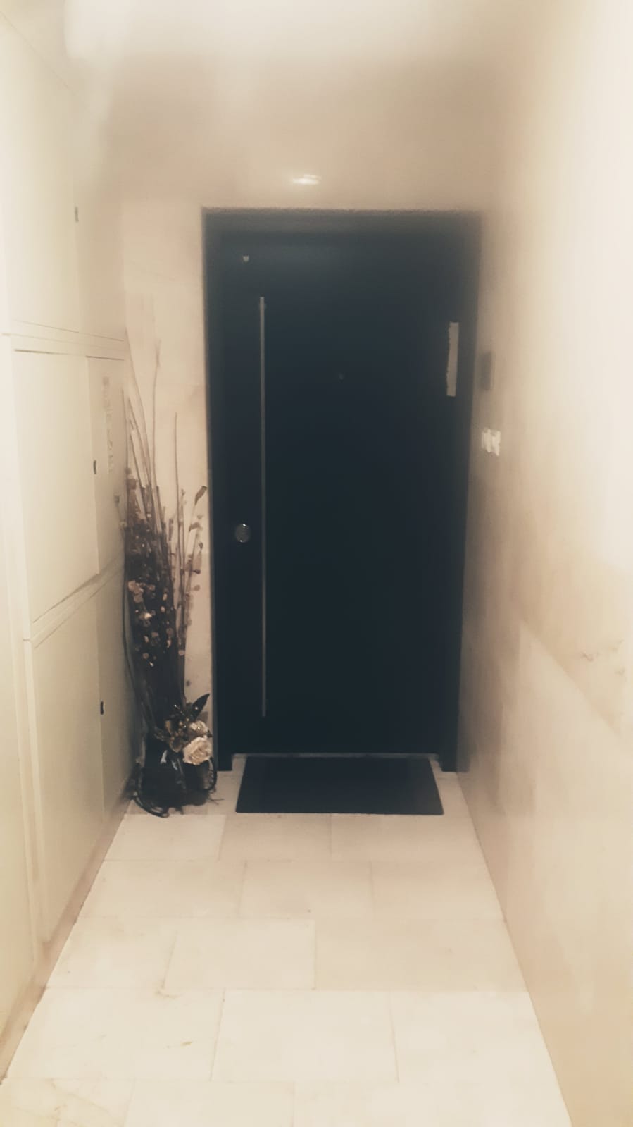 מגוון דלתות