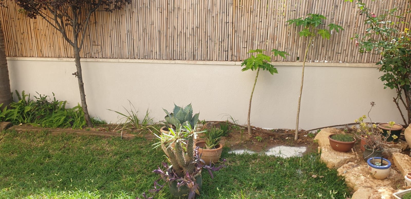 שיפוץ חוץ בדירה