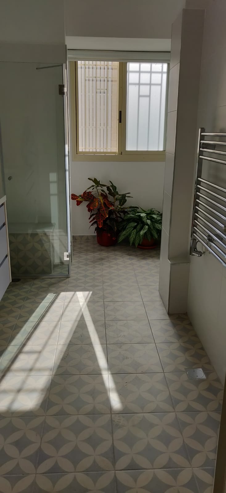 שיפוצי אבטיה