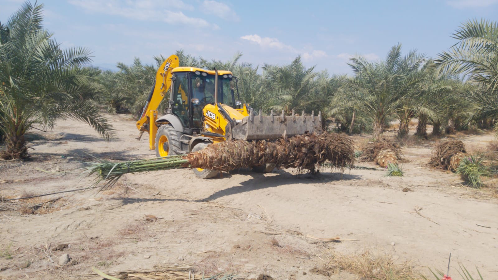 עבודות פיתוח