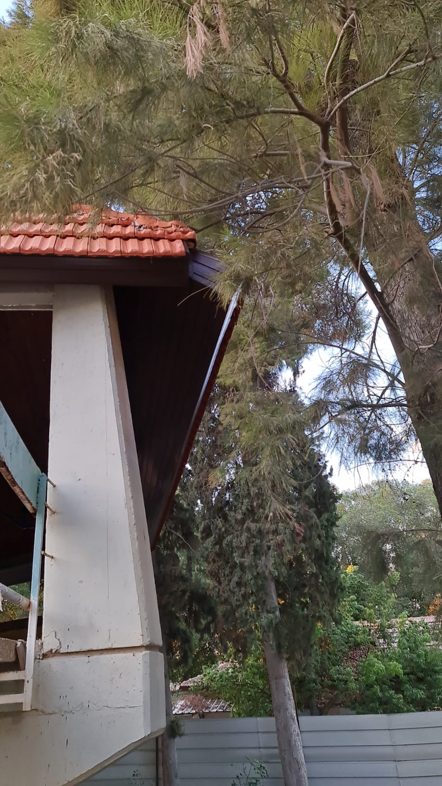 חדוש ארגז עץ ב צפוי אלמיניום