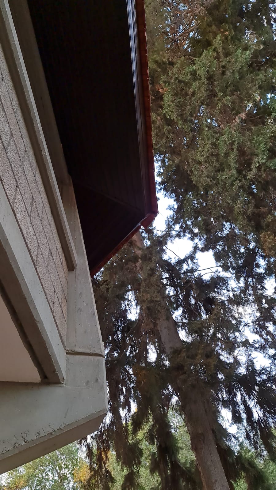 חדוש ארגז עץ ב צפוי אלמיניום