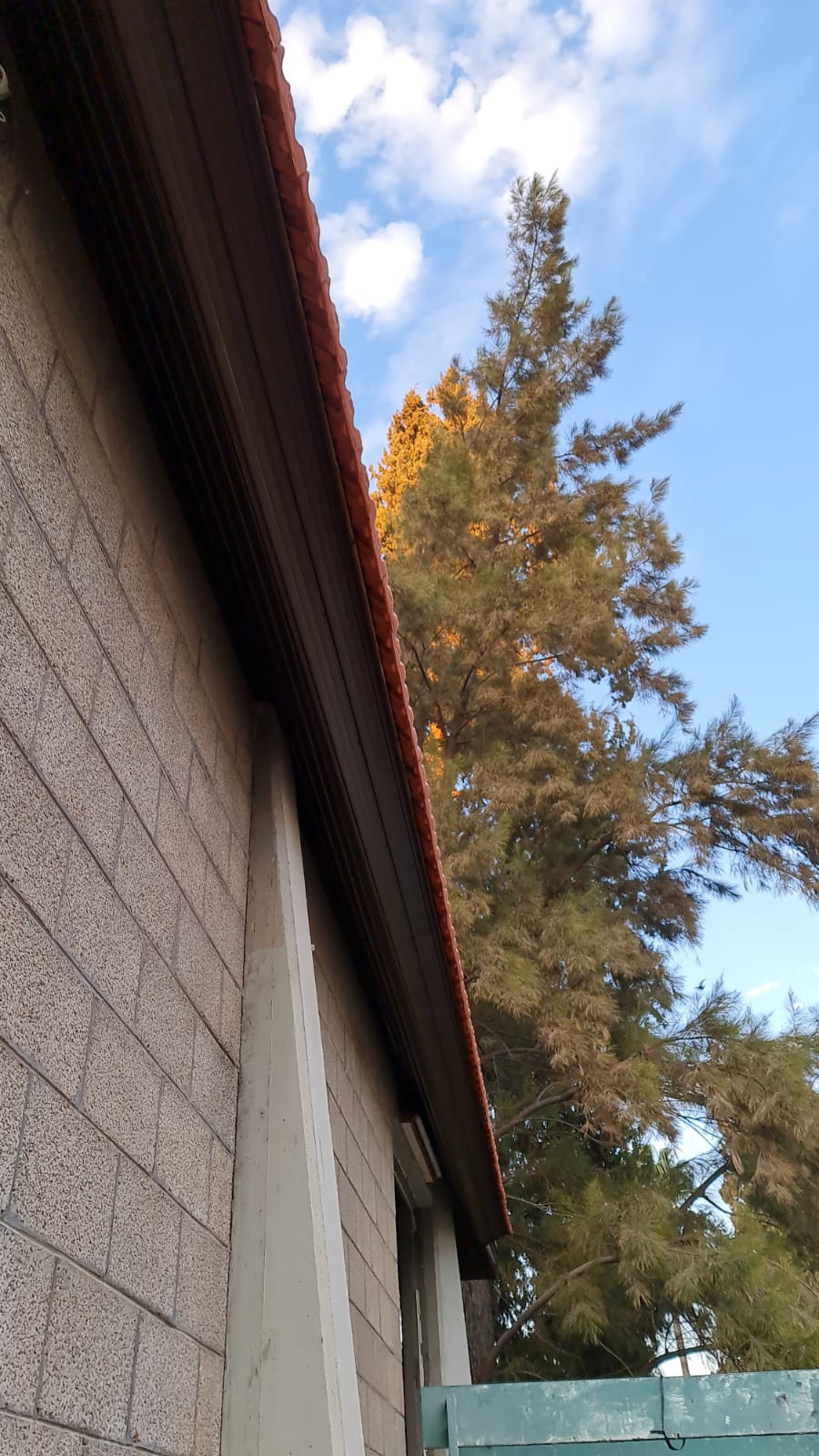 חדוש ארגז עץ ב צפוי אלמיניום