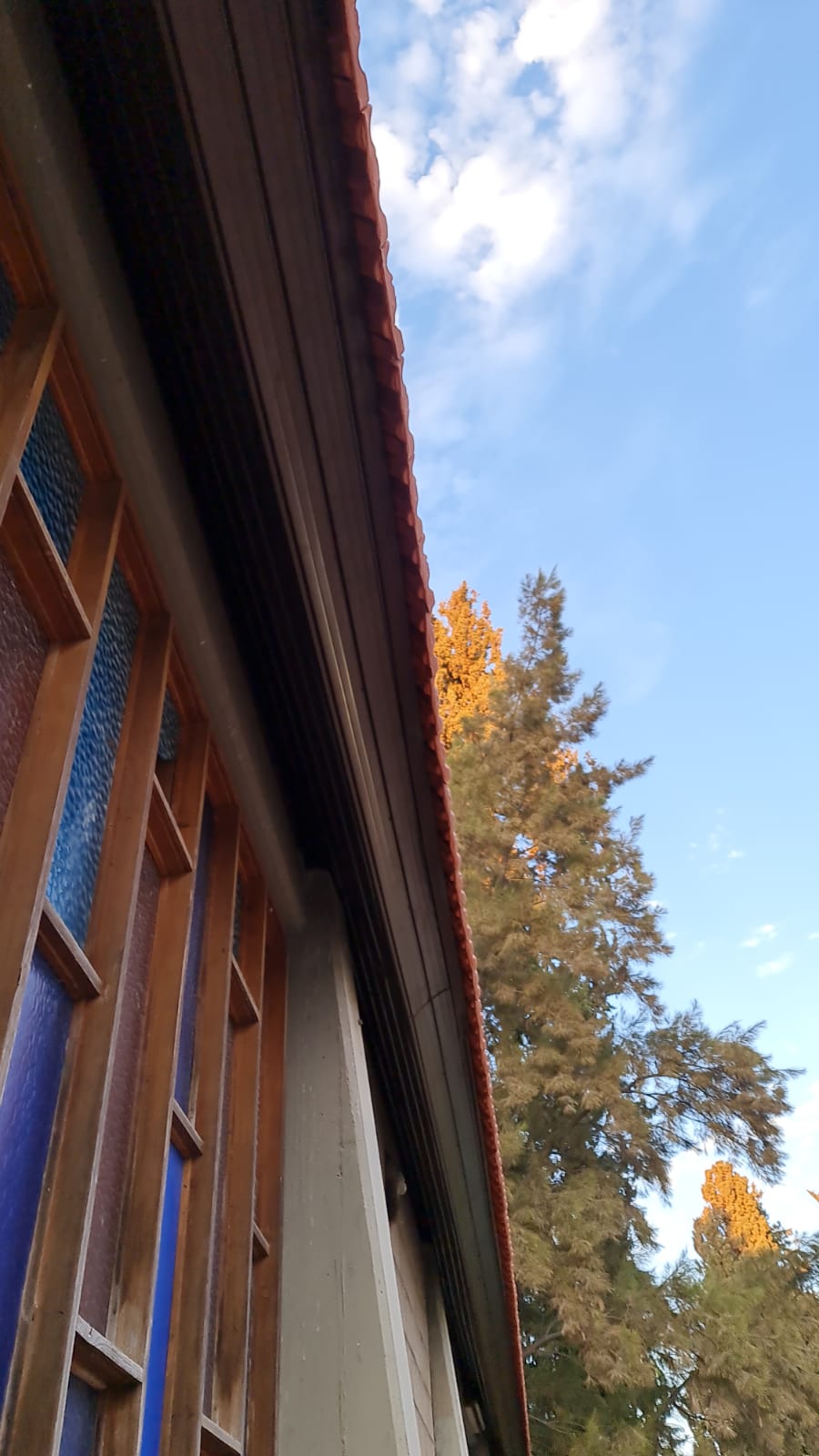 חדוש ארגז עץ ב צפוי אלמיניום