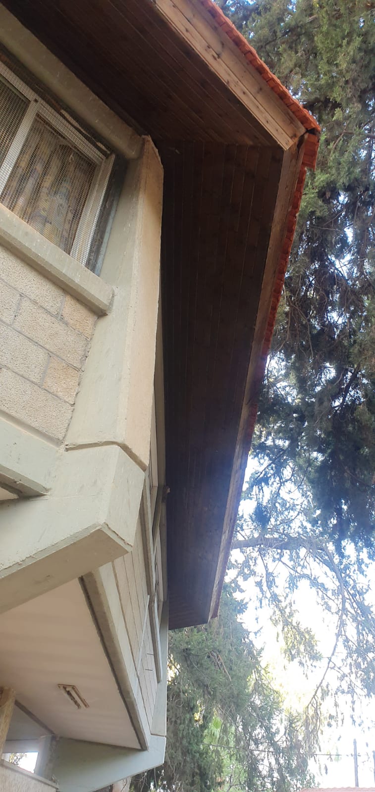 חדוש ארגז עץ ב צפוי אלמיניום