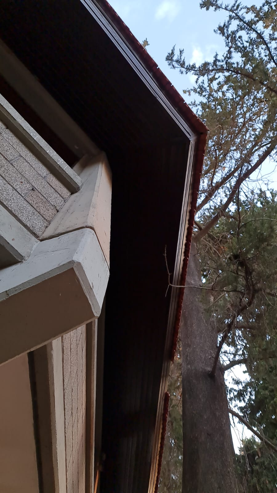 חדוש ארגז עץ ב צפוי אלמיניום