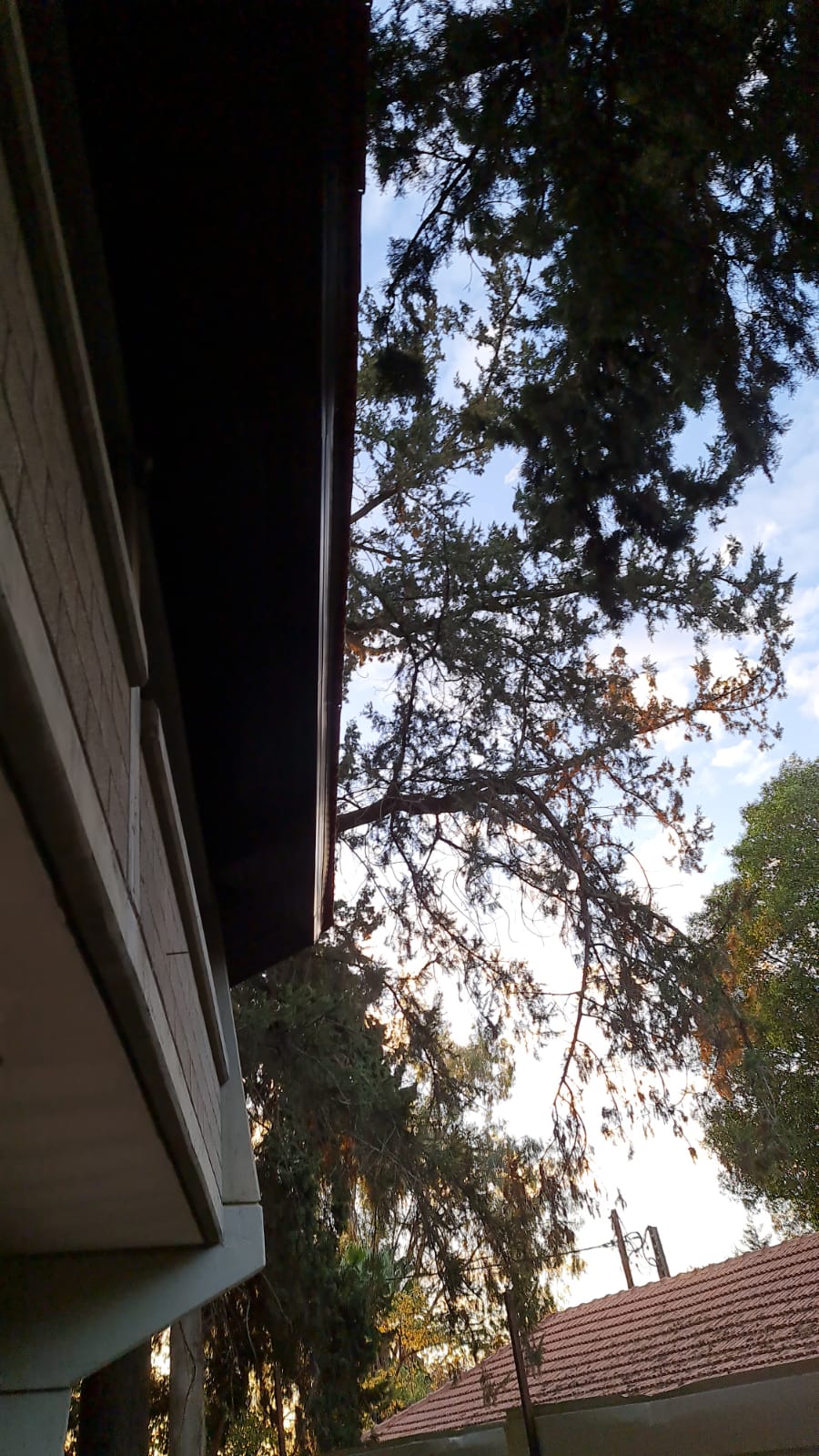 חדוש ארגז עץ ב צפוי אלמיניום