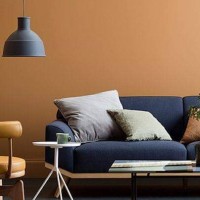 צילום מעבודה של רפאל דנן