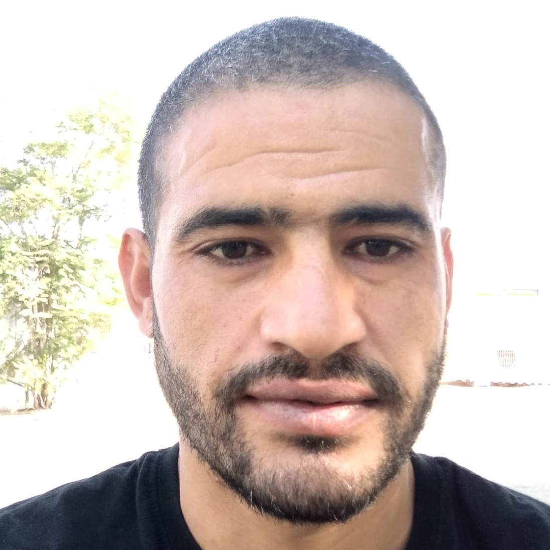 עובדיה שיפוצים