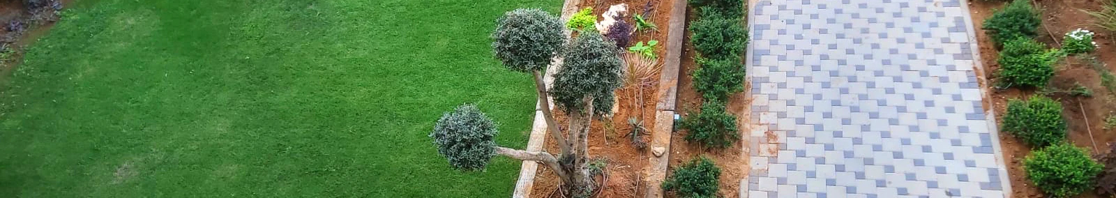 צילום מעבודה של מאור בטונגנשאוילי