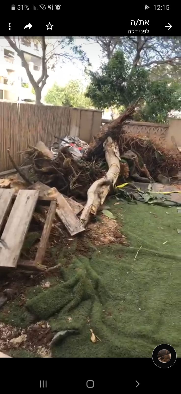 הקמת גינה לפני ואחרי