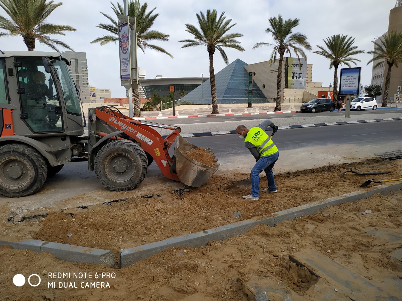 עבודות פיתוח וגינון