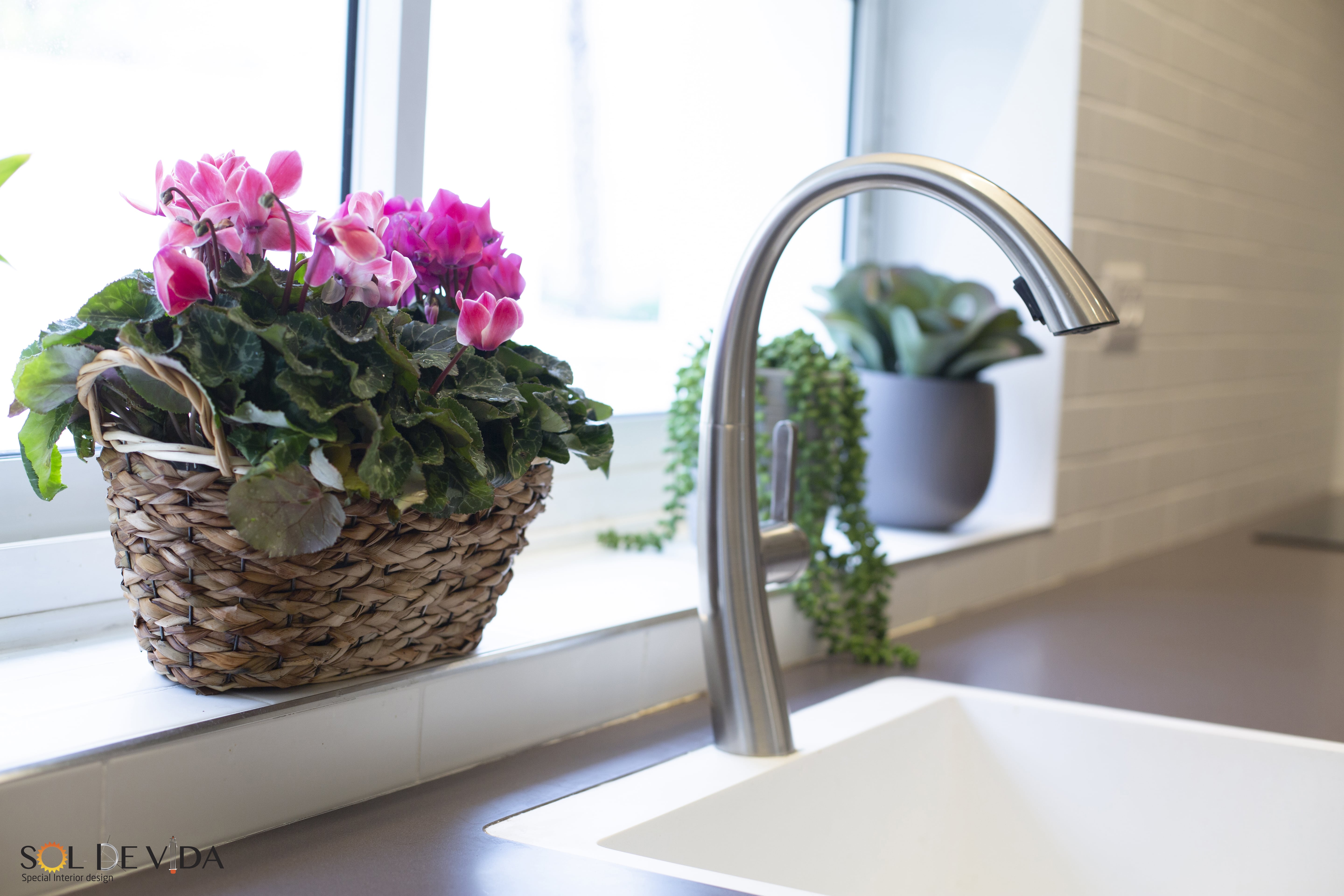 סימפוניה טבעית