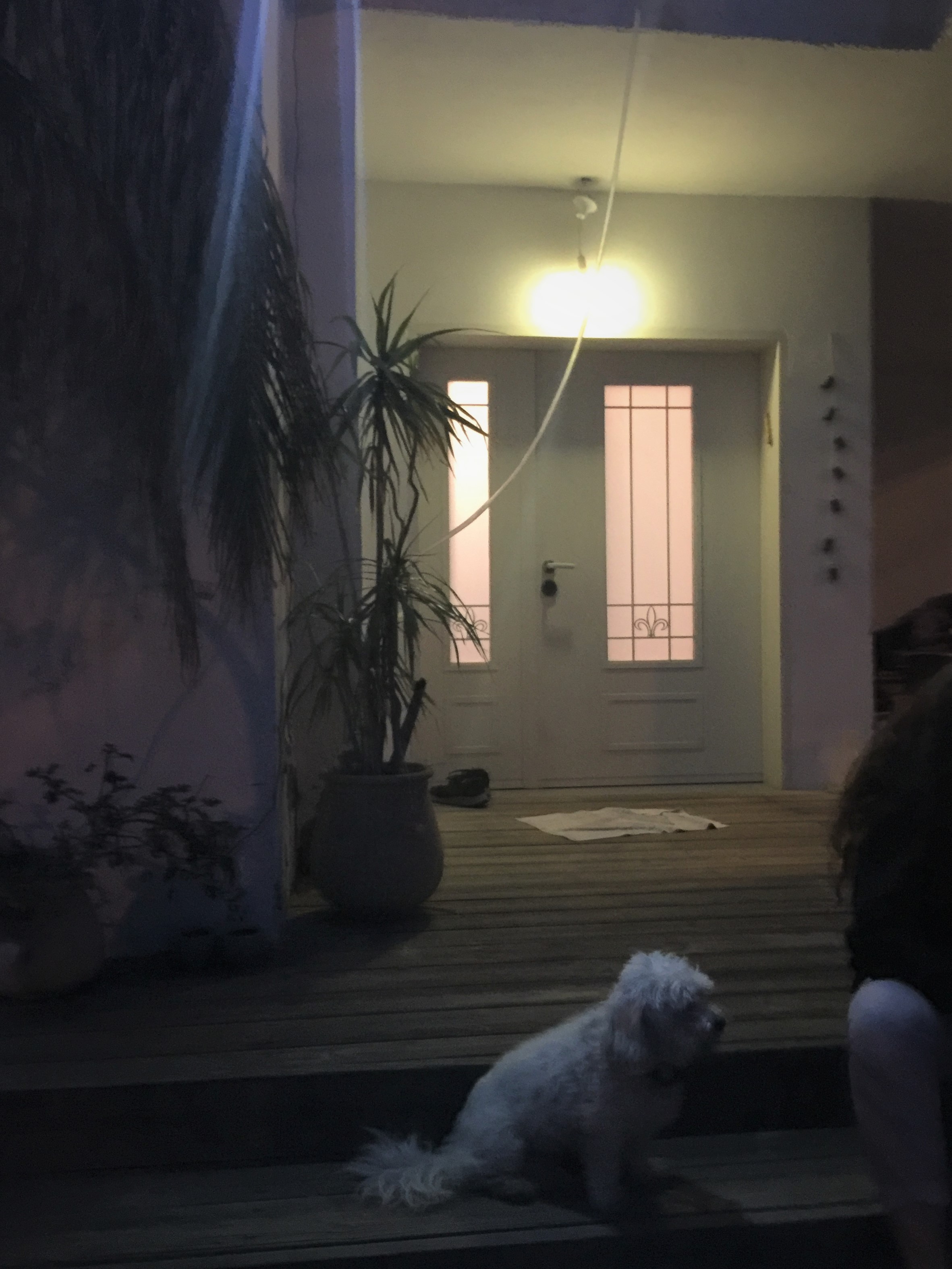 הוילה בת ה40 שבה לבעוט :)