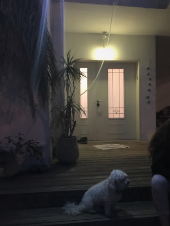 הוילה בת ה40 שבה לבעוט :)