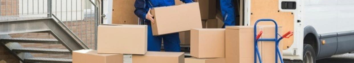 צילום מעבודה של גסאן