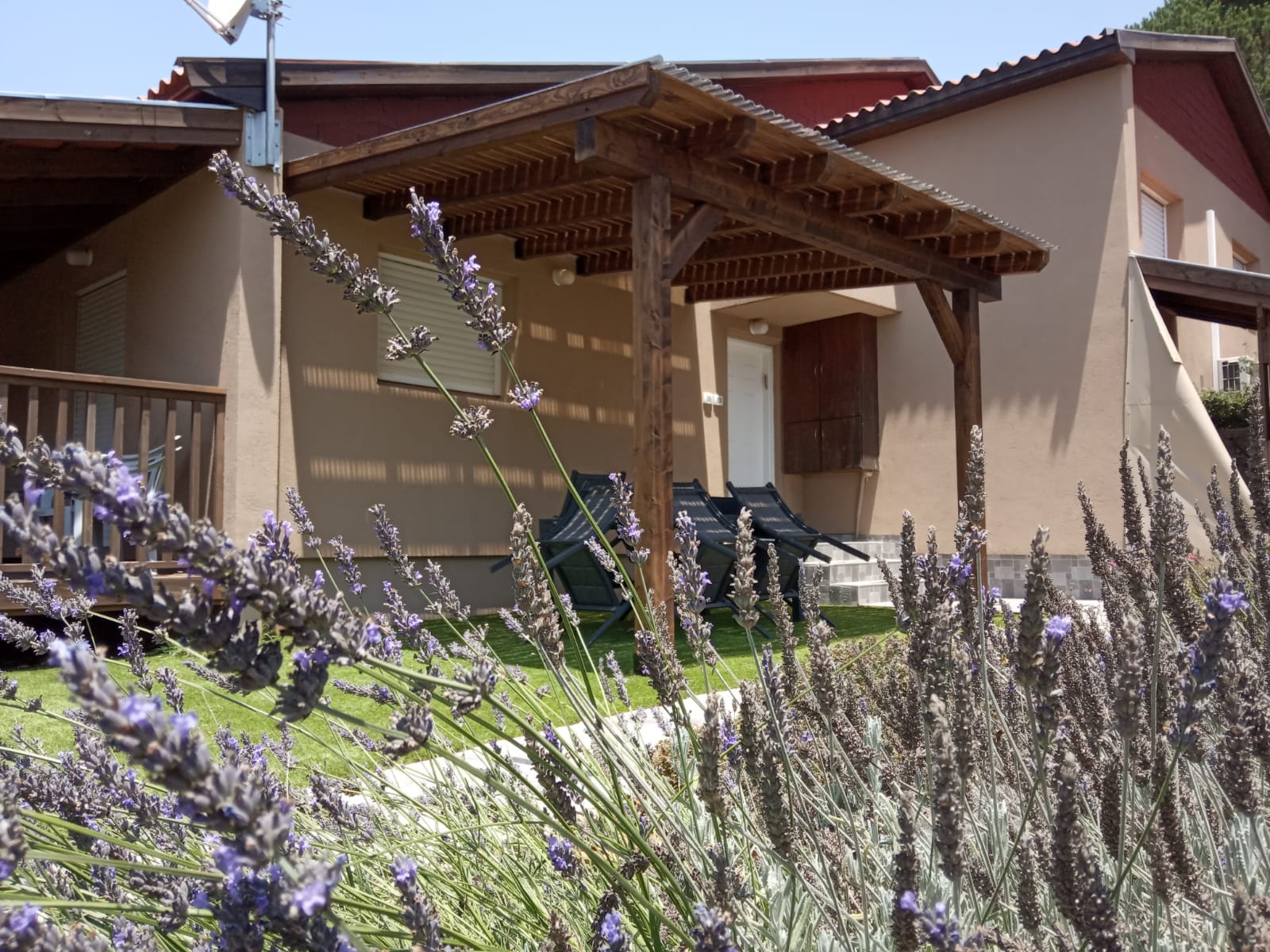 בניית פרגולות